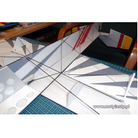 Toto-34 Ervin model halowy z depronu + Pichler